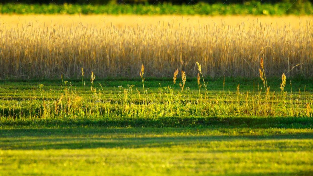 JANISCHs Fewo im Spreewald Unterspreewald Exterior foto